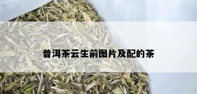 普洱茶云生前图片及配的茶