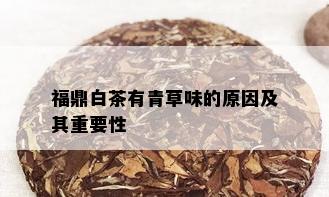 福鼎白茶有青草味的原因及其重要性