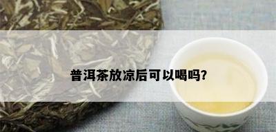 普洱茶放凉后可以喝吗？