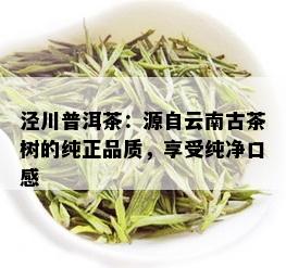 泾川普洱茶：源自云南古茶树的纯正品质，享受纯净口感