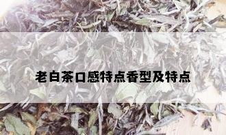 老白茶口感特点香型及特点