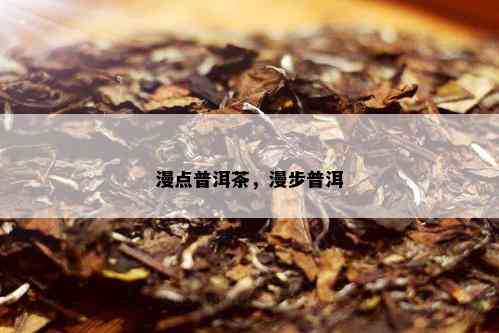 漫点普洱茶，漫步普洱