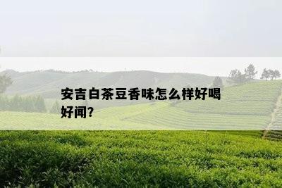 安吉白茶豆香味怎么样好喝好闻？