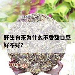 野生白茶为什么不香甜口感好不好？