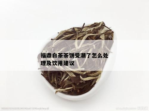 福鼎白茶茶饼受潮了怎么处理及饮用建议