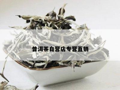 普洱茶自营店专营直销