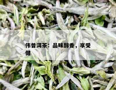 伟普洱茶：品味醇香，享受健