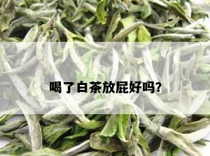 喝了白茶放屁好吗？