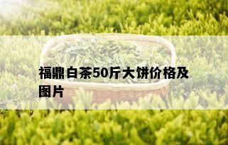 福鼎白茶50斤大饼价格及图片