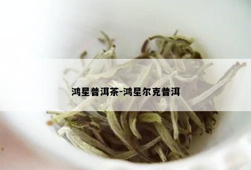 鸿星普洱茶-鸿星尔克普洱