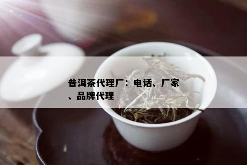 普洱茶代理厂：电话、厂家、品牌代理