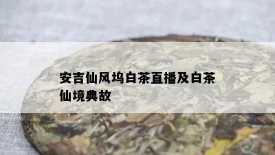 安吉仙风坞白茶直播及白茶仙境典故