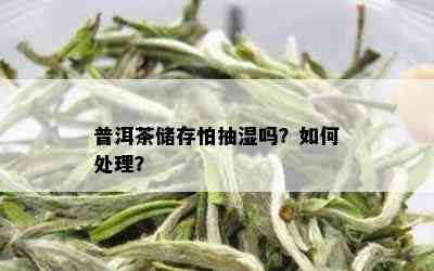 普洱茶储存怕抽湿吗？如何处理？