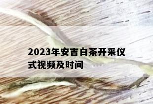 2023年安吉白茶开采仪式视频及时间