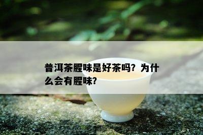 普洱茶腥味是好茶吗？为什么会有腥味？