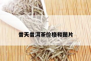 普天普洱茶价格和图片