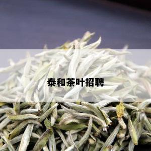 泰和茶叶招聘