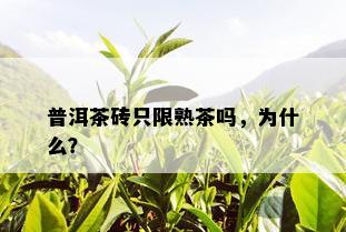 普洱茶砖只限熟茶吗，为什么？