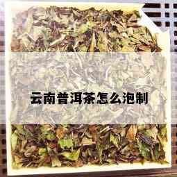 云南普洱茶怎么泡制