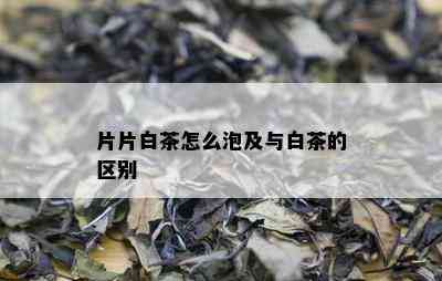 片片白茶怎么泡及与白茶的区别