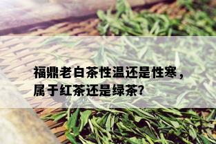 福鼎老白茶性温还是性寒，属于红茶还是绿茶？