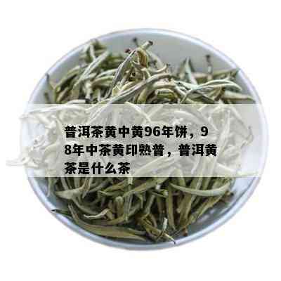 普洱茶黄中黄96年饼，98年中茶黄印熟普，普洱黄茶是什么茶