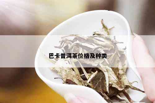 巴卡普洱茶价格及种类