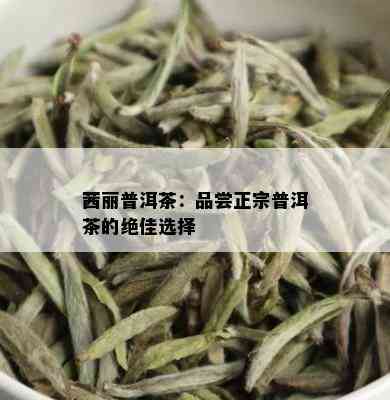 茜丽普洱茶：品尝正宗普洱茶的绝佳选择