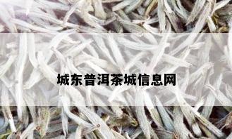 城东普洱茶城信息网