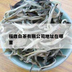 福鼎白茶有限公司地址在哪里