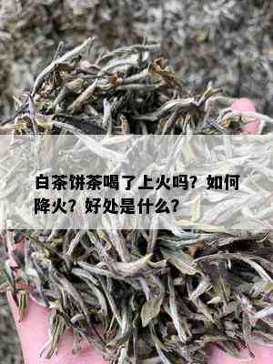 白茶饼茶喝了上火吗？如何降火？好处是什么？