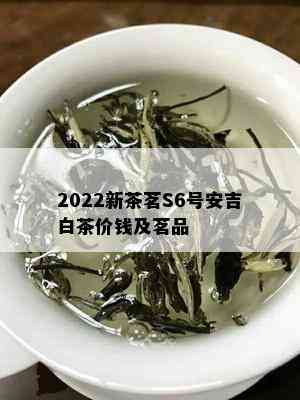 2022新茶茗S6号安吉白茶价钱及茗品