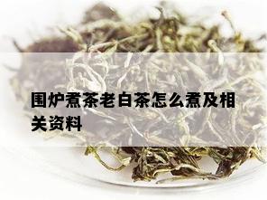 围炉煮茶老白茶怎么煮及相关资料