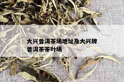 大兴普洱茶场地址及大兴牌普洱茶茶叶场