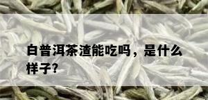 白普洱茶渣能吃吗，是什么样子？