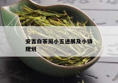 安吉白茶周小五进展及小镇规划