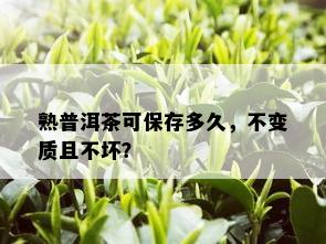 熟普洱茶可保存多久，不变质且不坏？