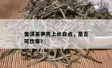 普洱茶笋壳上长白点，是否可饮用？