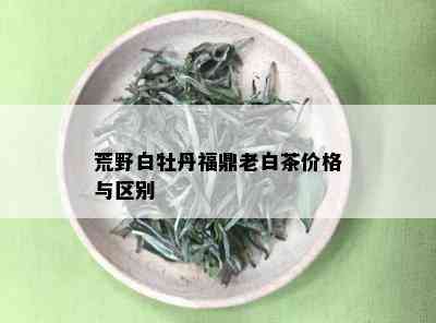 荒野白牡丹福鼎老白茶价格与区别