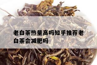 老白茶热量高吗知乎推荐老白茶会减肥吗