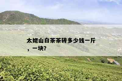 太姥山白茶茶砖多少钱一斤，一块？