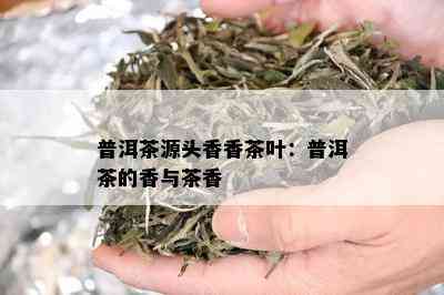 普洱茶源头香香茶叶：普洱茶的香与茶香