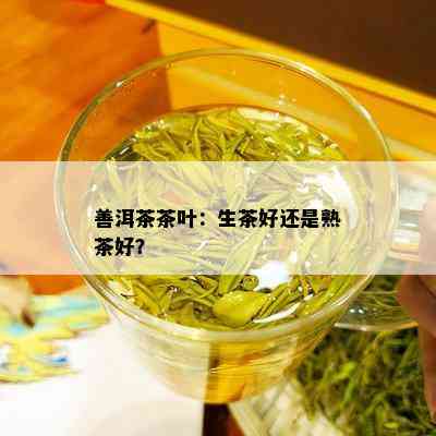 善洱茶茶叶：生茶好还是熟茶好？