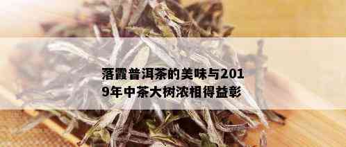 落霞普洱茶的美味与2019年中茶大树浓相得益彰