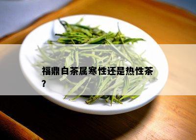 福鼎白茶属寒性还是热性茶？