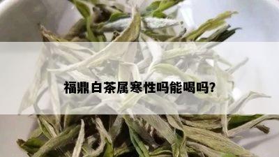 福鼎白茶属寒性吗能喝吗？