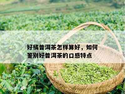 好橘普洱茶怎样算好，如何鉴别好普洱茶的口感特点