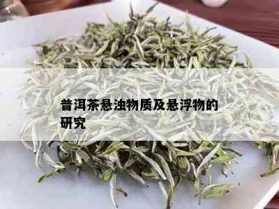 普洱茶悬浊物质及悬浮物的研究