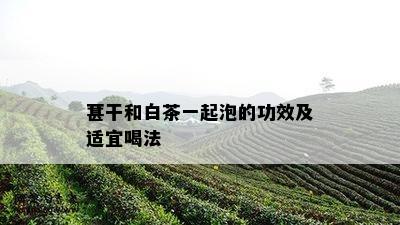 葚干和白茶一起泡的功效及适宜喝法