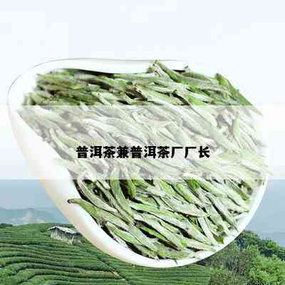 普洱茶兼普洱茶厂厂长